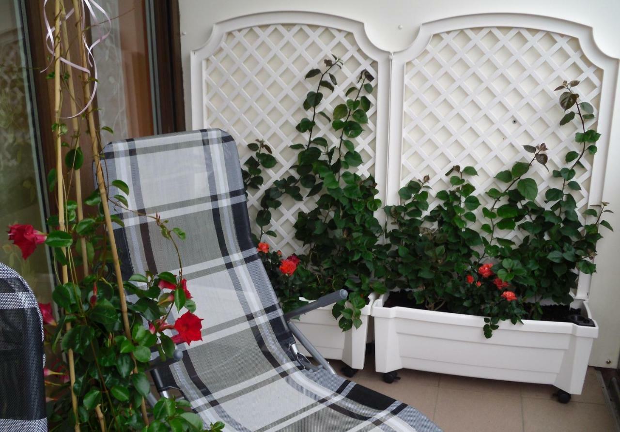 Ferienwohnung Rothe Dippoldiswalde Exteriör bild